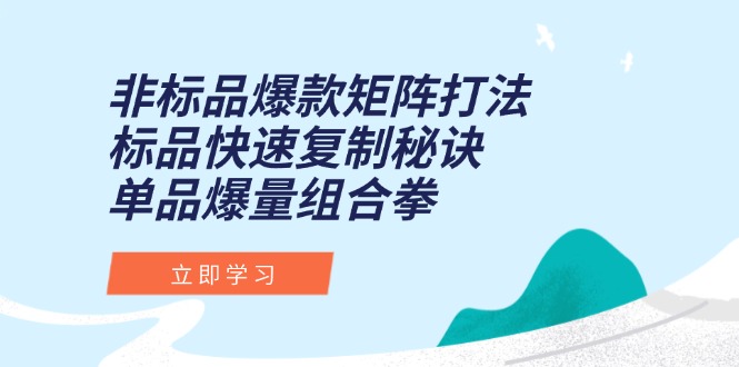 非标品爆款矩阵打法，标品快速复制秘诀，单品爆量组合拳 - 宏盛创业网-宏盛创业网