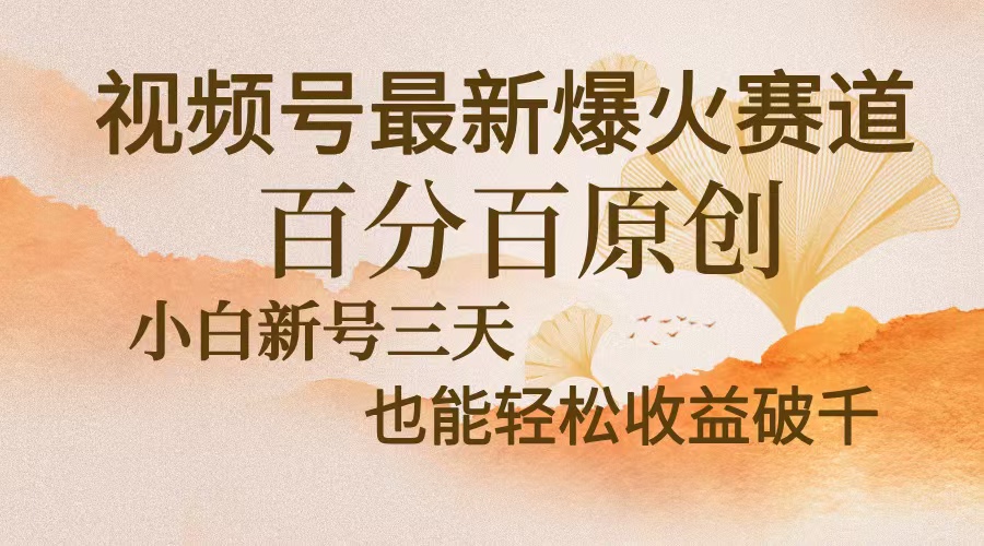 视频号最新爆火赛道，中老年粉深信不疑，百分百原创，新号三天收益轻松... - 宏盛创业网-宏盛创业网