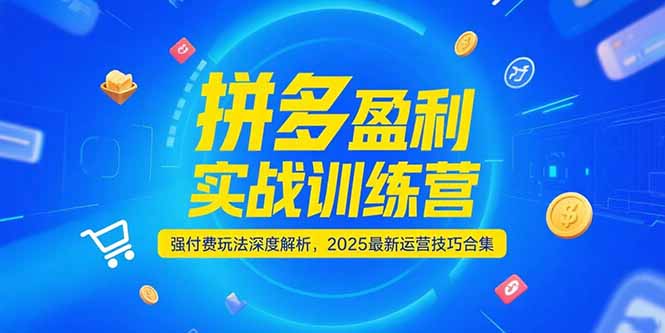 拼多多盈利实战训练营，强付费玩法深度解析，2025运营技巧合集-更新6月 - 宏盛创业网-宏盛创业网