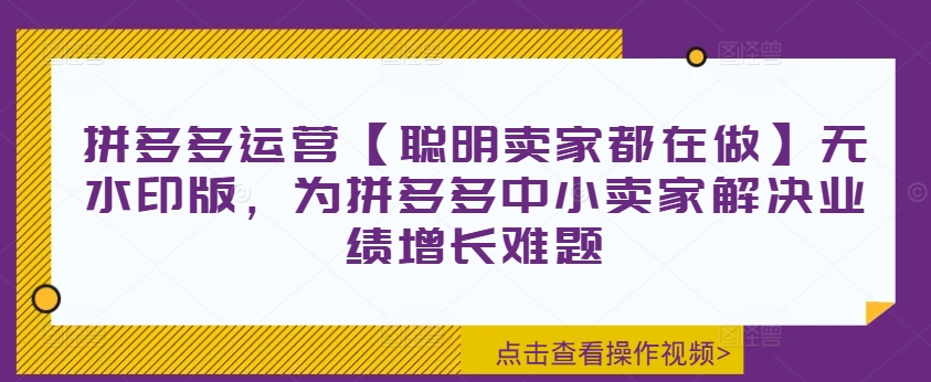 拼多多运营【聪明卖家都在做】无水印版，为拼多多中小卖家解决业绩增长难题 - 宏盛创业网-宏盛创业网