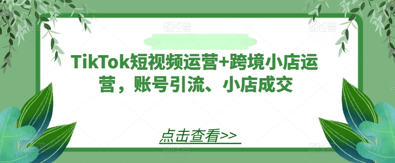 TikTok短视频运营+跨境小店运营，账号引流、小店成交 - 宏盛创业网-宏盛创业网