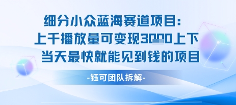 小众蓝海赛道项目：当天变现1k+适合新手操作 +适合长期玩 - 宏盛创业网-宏盛创业网