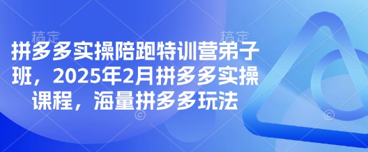拼多多实操陪跑特训营弟子班，2025年2月拼多多实操课程，海量拼多多玩法 - 宏盛创业网-宏盛创业网