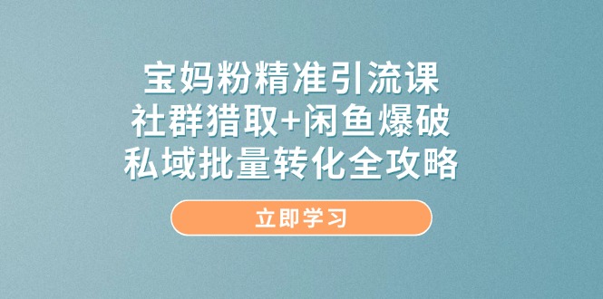宝妈粉精准引流课，社群猎取+闲鱼爆破，私域批量转化全攻略 - 宏盛创业网-宏盛创业网
