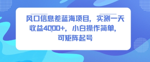 风口信息差蓝海项目，实测一天收益4k+，小白操作简单，可矩阵起号 - 宏盛创业网-宏盛创业网