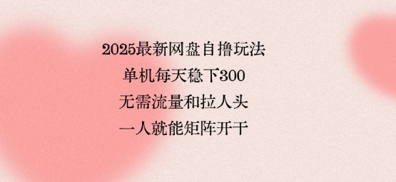 2025最新网盘自撸玩法，单机每天稳下3张，无需流量和拉人头，一个人就可轻松矩阵，全网独一份【揭秘】 - 宏盛创业网-宏盛创业网