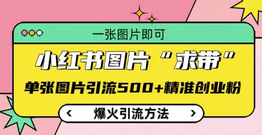 小红书图片‘求带’爆火引流法，单张图片引流500+精准创业粉【揭秘】 - 宏盛创业网-宏盛创业网