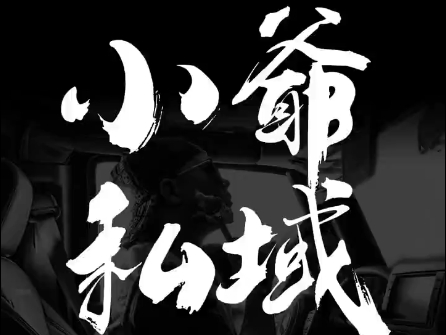 小爷·私域项目操盘手 - 宏盛创业网-宏盛创业网