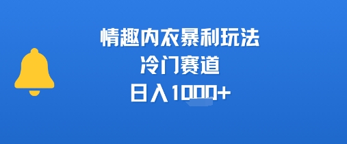 情趣内衣暴利玩法，冷门赛道，日入1k+ - 宏盛创业网-宏盛创业网