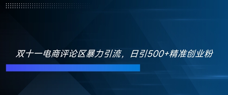 双十一电商评论区暴力引流，日引500+精准创业粉【揭秘】 - 宏盛创业网-宏盛创业网