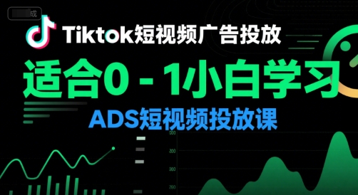 Tiktok短视频广告投放，适合0-1小白学习ADS短视频投放课 - 宏盛创业网-宏盛创业网