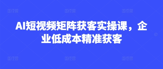 AI短视频矩阵获客实操课，企业低成本精准获客 - 宏盛创业网-宏盛创业网