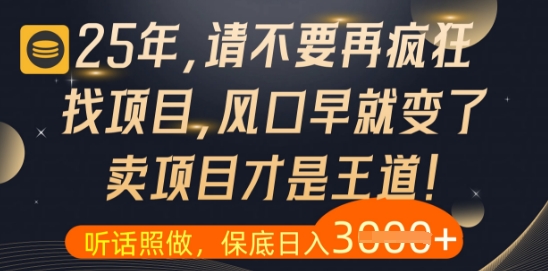什么？25年你还在疯狂找项目做，醒醒吧，看完这些你全都懂了【揭秘】 - 宏盛创业网-宏盛创业网