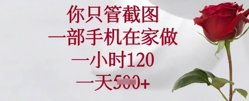 你只管截图，一部手机在家做，一小时120.一天5张【揭秘】 - 宏盛创业网-宏盛创业网