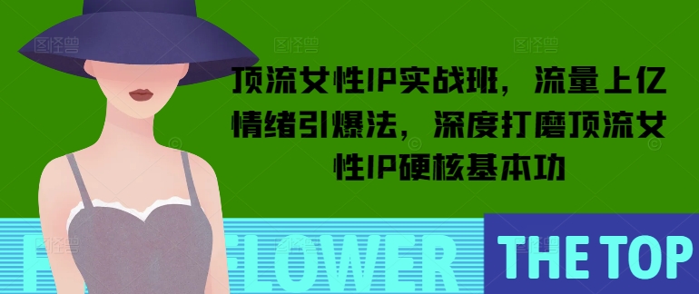 顶流女性IP实战班，流量上亿情绪引爆法，深度打磨顶流女性IP硬核基本功 - 宏盛创业网-宏盛创业网