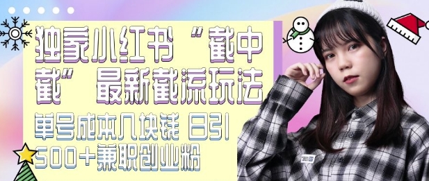 最新小红书截流玩法 独家截中截 单号成本几块钱 日引500+CY粉JZ粉 - 宏盛创业网-宏盛创业网