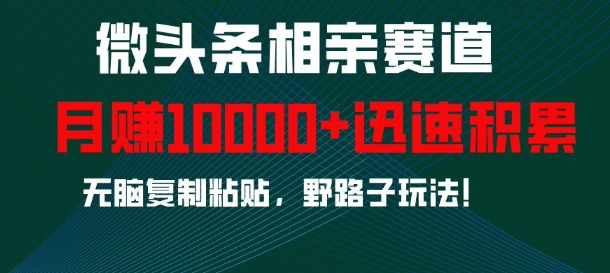 微头条相亲赛道，迅速积累，无脑复制粘贴，野路子玩法，月入1w - 宏盛创业网-宏盛创业网