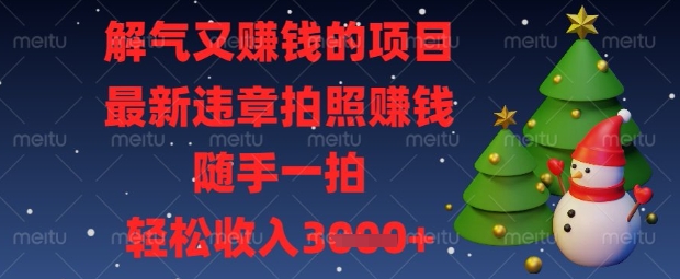 解气又挣钱的项目，最新违章拍照挣钱，随手一拍，轻松收入数张【揭秘】 - 宏盛创业网-宏盛创业网