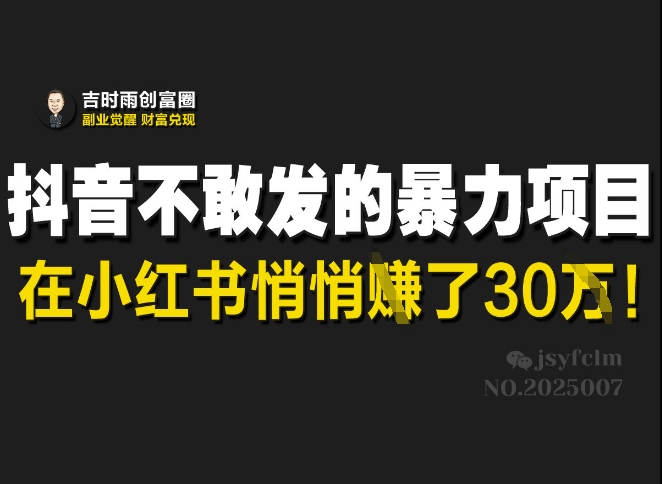 抖音不敢发的暴利项目，在小红书悄悄挣了30W - 宏盛创业网-宏盛创业网