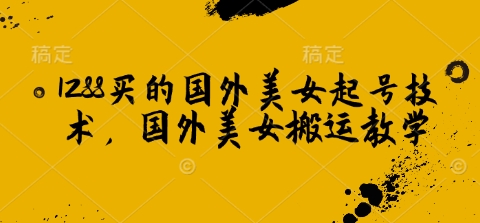 1288买的国外美女起号技术，国外美女搬运教学 - 宏盛创业网-宏盛创业网