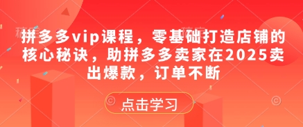 拼多多vip课程，零基础打造店铺的核心秘诀，助拼多多卖家在2025卖出爆款，订单不断 - 宏盛创业网-宏盛创业网