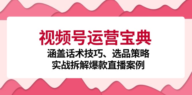 视频号运营宝典：涵盖话术技巧、选品策略、实战拆解爆款直播案例 - 宏盛创业网-宏盛创业网