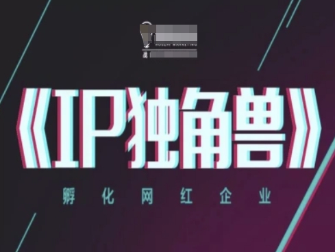 IP独角兽，孵化网红企业，ip教程 - 宏盛创业网-宏盛创业网