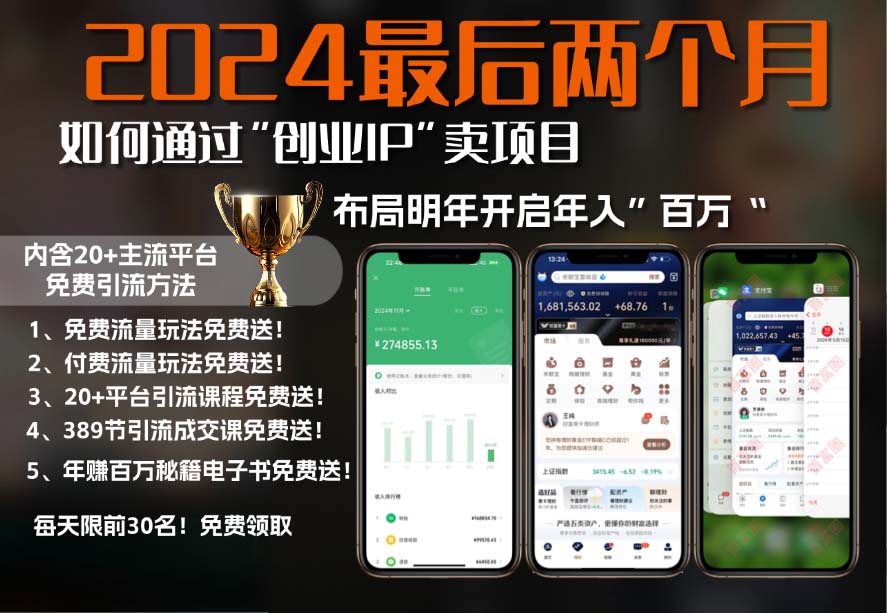 2024最后两个月如何通过”创业IP“卖项目年入”百万“,创业IP+最强引流... - 宏盛创业网-宏盛创业网