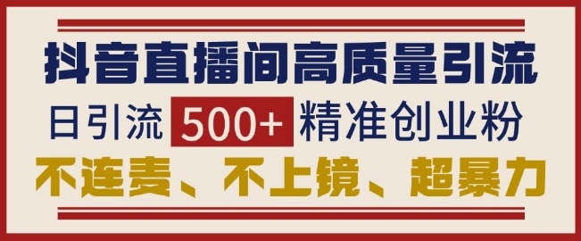 抖音直播间引流创业粉，无需连麦、不用上镜、超暴力，日引流500+高质量精准创业粉 - 宏盛创业网-宏盛创业网