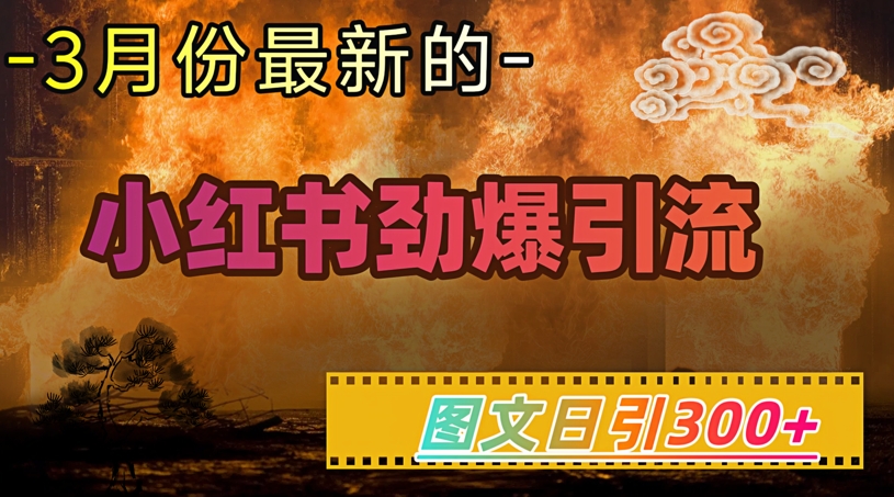 小红书超劲爆引流手段，图文日引300+轻松变现1W - 宏盛创业网-宏盛创业网