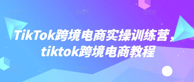 TikTok跨境电商实操训练营，tiktok跨境电商教程 - 宏盛创业网-宏盛创业网