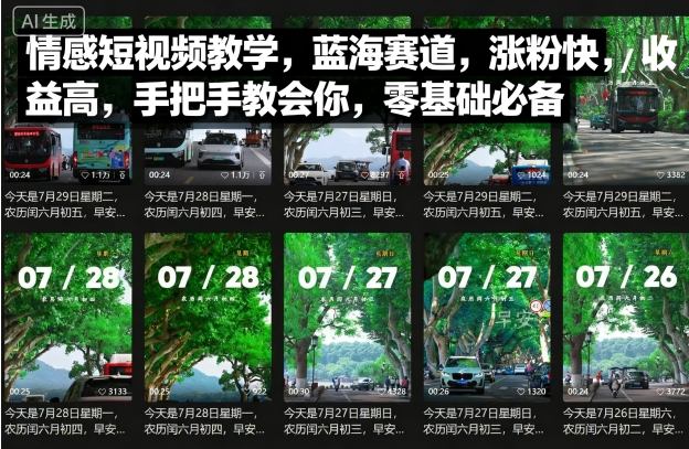 情感短视频教学，蓝海赛道，涨粉快，收益高，手把手教会你，零基础必备 - 宏盛创业网-宏盛创业网