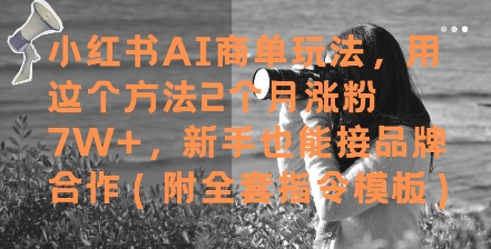 小红书AI商单玩法，用这个方法2个月涨粉7W+，新手也能接品牌合作(附全套指令模板) - 宏盛创业网-宏盛创业网