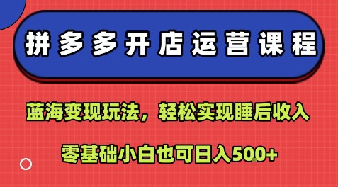 拼多多开店运营课程：蓝海变现玩法，轻松实现睡后收入，零基础小白也可日入5张 - 宏盛创业网-宏盛创业网