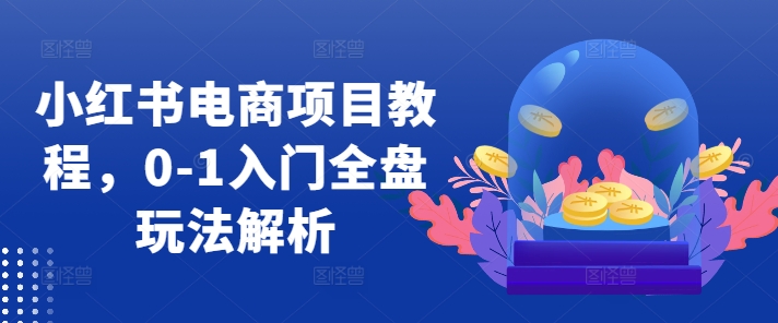 小红书电商项目教程，0-1入门全盘玩法解析 - 宏盛创业网-宏盛创业网