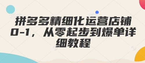 拼多多精细化运营店铺0-1，从零起步到爆单详细教程 - 宏盛创业网-宏盛创业网