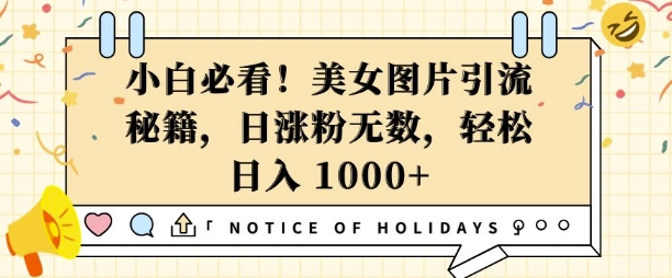 小白必看，美女图片引流秘籍，日涨粉无数，轻松日入几张【揭秘】 - 宏盛创业网-宏盛创业网