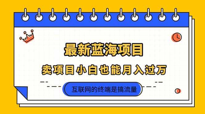 2025年最新蓝海项目，卖项目小白也能月入过万 - 宏盛创业网-宏盛创业网