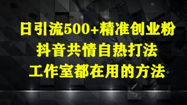 日引流500+精准创业粉，抖音共情自热打法，工作室都在用的方法 - 宏盛创业网-宏盛创业网