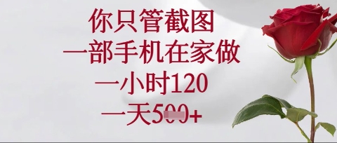 你只管截图，一部手机在家操作，一小时120.一天5张【揭秘】 - 宏盛创业网-宏盛创业网