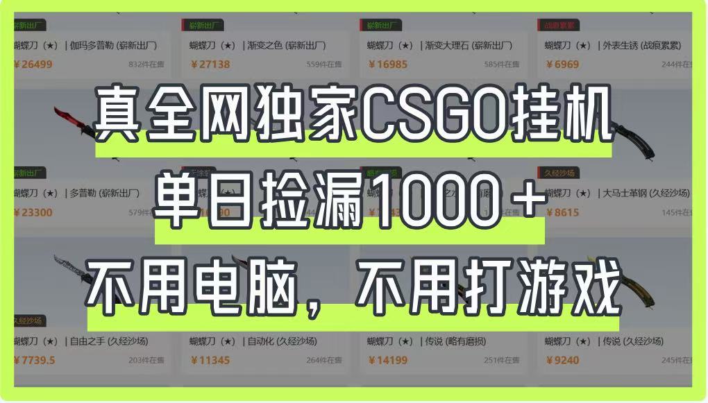 真全网独家CSGO挂机，单日捡漏1000+，不用电脑，不用养号 - 宏盛创业网-宏盛创业网