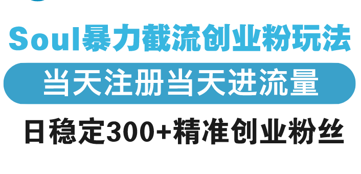 Soul暴力截流创业粉玩法，当天注册当天进流量，日稳定300+精准创业粉丝 - 宏盛创业网-宏盛创业网