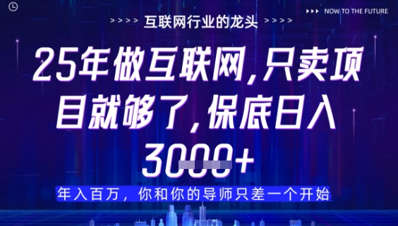 什么！25年你还在找项目做？风口早就变了，卖项目才是稳挣不赔【揭秘】 - 宏盛创业网-宏盛创业网