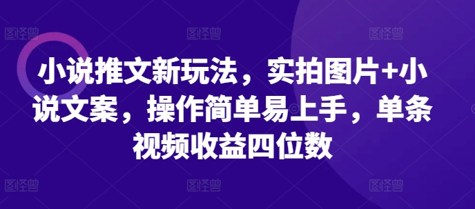 小说推文新玩法，实拍图片+小说文案，操作简单易上手，单条视频收益四位数 - 宏盛创业网-宏盛创业网