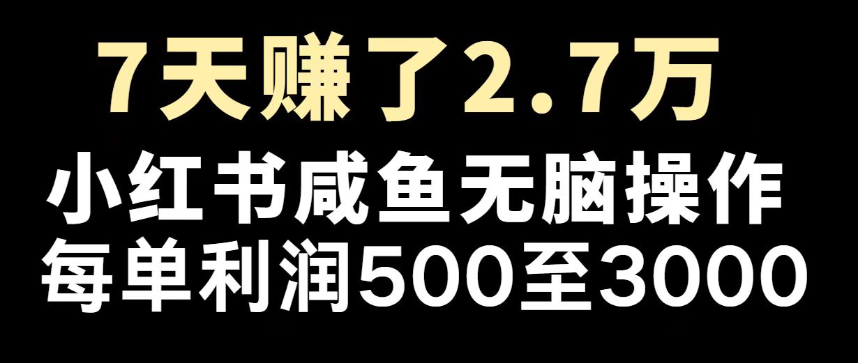 最赚钱项目之一，2025爆火，逆风翻盘！ - 宏盛创业网-宏盛创业网