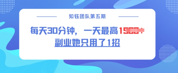 副业她只用了1招，每天30分钟，无脑二创，一天最高1.5k - 宏盛创业网-宏盛创业网