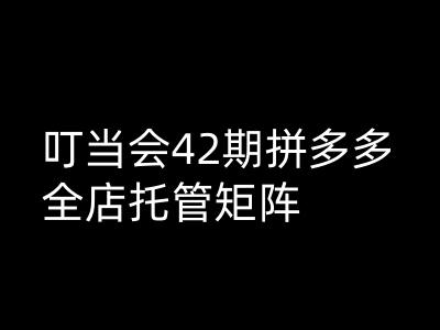 叮当会拼多多打爆班原创高阶技术第42期，拼多多全店托管矩阵 - 宏盛创业网-宏盛创业网