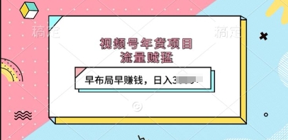 视频号年货项目，流量贼猛，早布局早挣钱，日入上k【揭秘】 - 宏盛创业网-宏盛创业网
