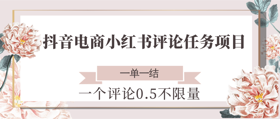 抖音电商小红书评论任务项目，一个评论0.5，一单一结 不限量 - 宏盛创业网-宏盛创业网