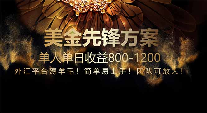 免费技术！小众赛道！一年布局抵三年努力，每日800+ - 宏盛创业网-宏盛创业网